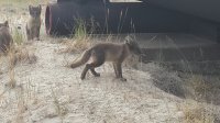 20160725_172549.jpg