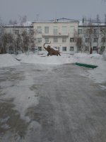 IMG_20190323_040036.jpg
