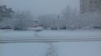 IMG-20190418-WA0001.jpg