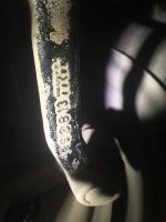 C4846C3D-913B-4B87-9EE3-5537BF56A060.jpeg