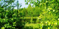 8VNTSkNwXRM.jpg