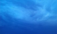0_812a1_e6d89ec_-1-XL.jpg