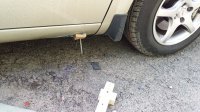 20190727_105624.jpg
