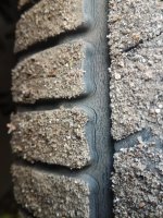 IMG_20190828_075057.jpg