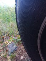 IMG_20190828_075115.jpg