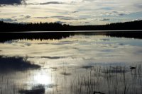 DSC06878.jpg