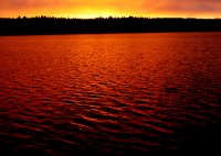 DSC06904.jpg