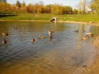 IMG_20140928_164731.jpg