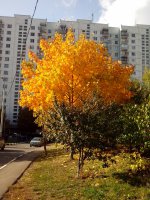 IMG_20140930_154459.jpg