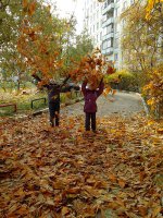 IMG_20141019_150838.jpg
