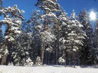 20150209_112327.jpg