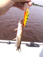 IMG_20140531_084049.jpg