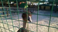 WP_20150310_17_13_10_Pro.jpg