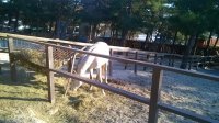 WP_20150310_17_12_38_Pro.jpg