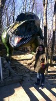 WP_20150310_15_23_56_Pro.jpg