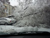 IMG-20150410-WA0002.jpg