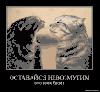 Alexandor85
