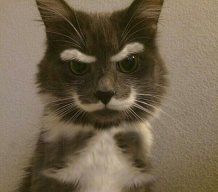 doctor_evil