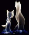 Кампот