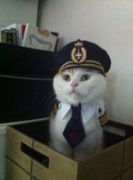 Кудажать