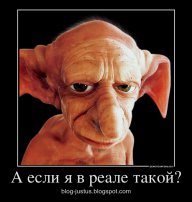 _vgik_
