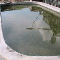 Учасник