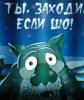 попутчик
