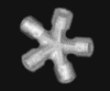 maximus812
