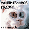 Вальдемар