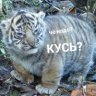 Север51