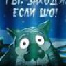 попутчик