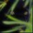 Masha_SAN