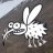 pauk_floyd